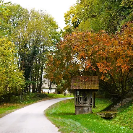 Zalaidill Wellness Vendeghaz Feriehus *