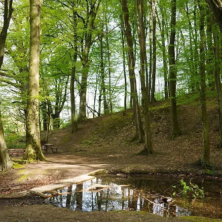Сasa de vacaciones Zalaidill Wellness Nagybakonak