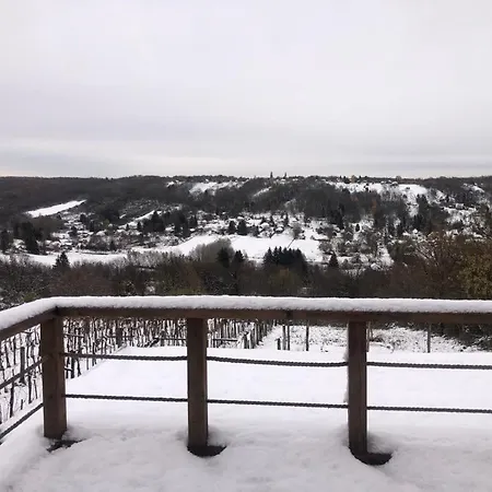 Feriehus Zalaidill Wellness Vendeghaz